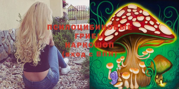 соль курить ск Нестеровская