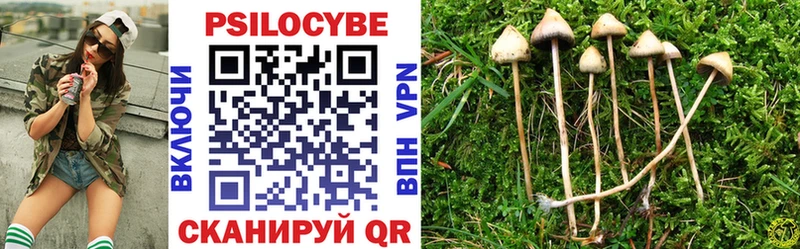 Псилоцибиновые грибы Psilocybe  как найти наркотики  Казань 